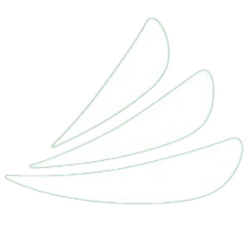 CareCredit Icon