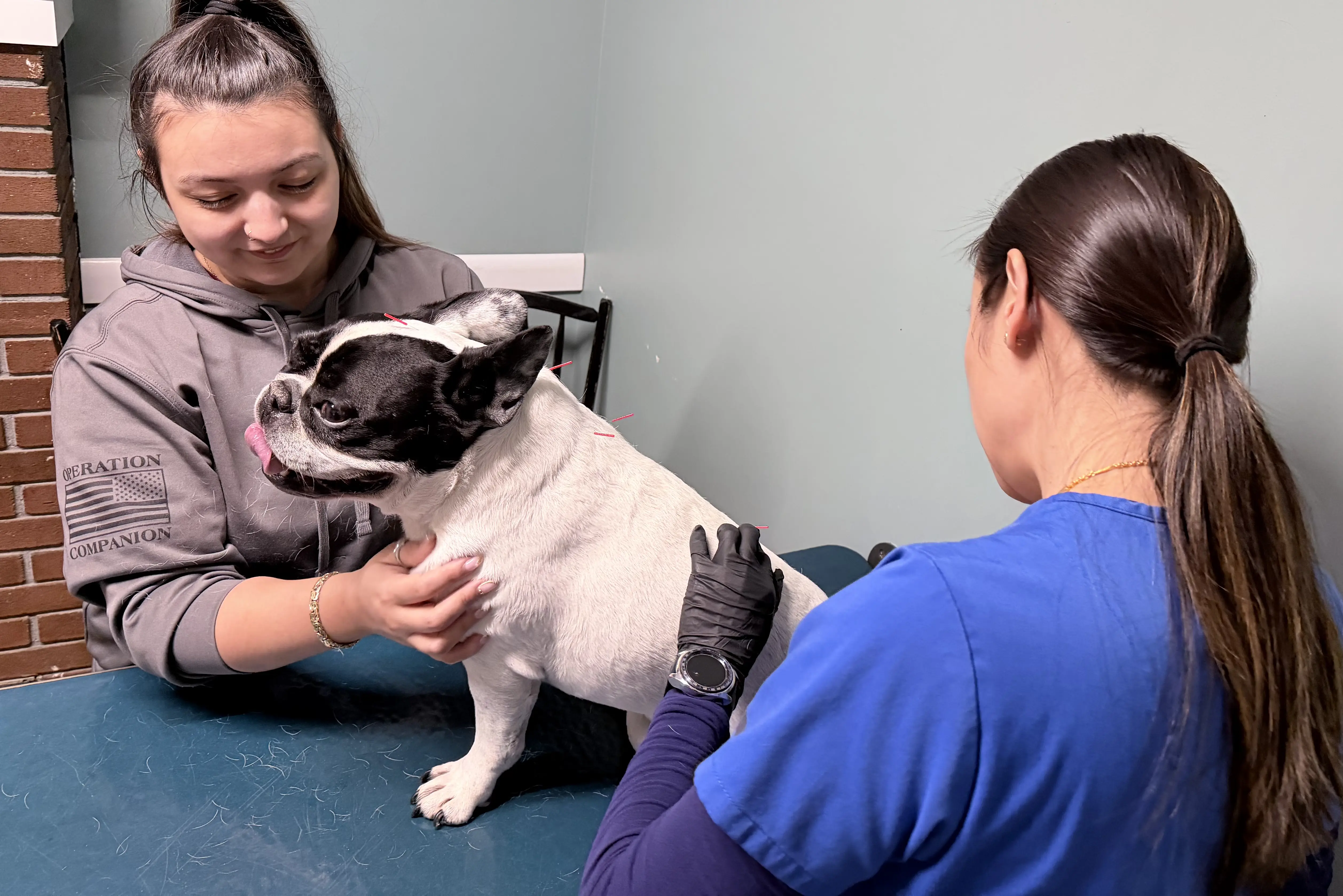 Staff Performing Acupuncture