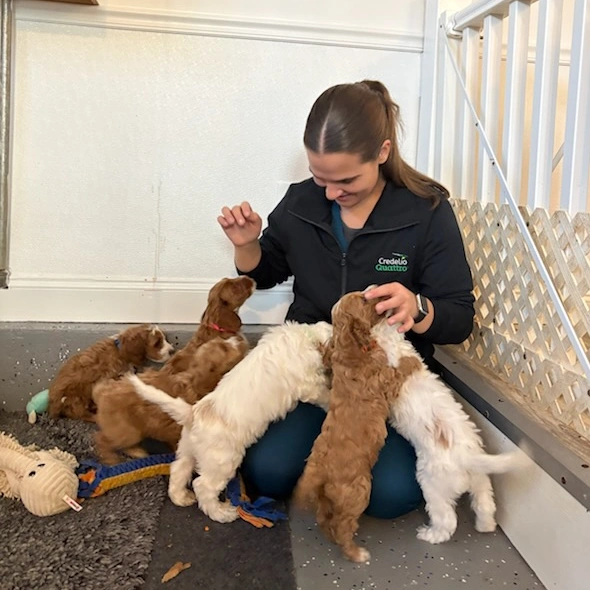 Nicolette With Puppies
