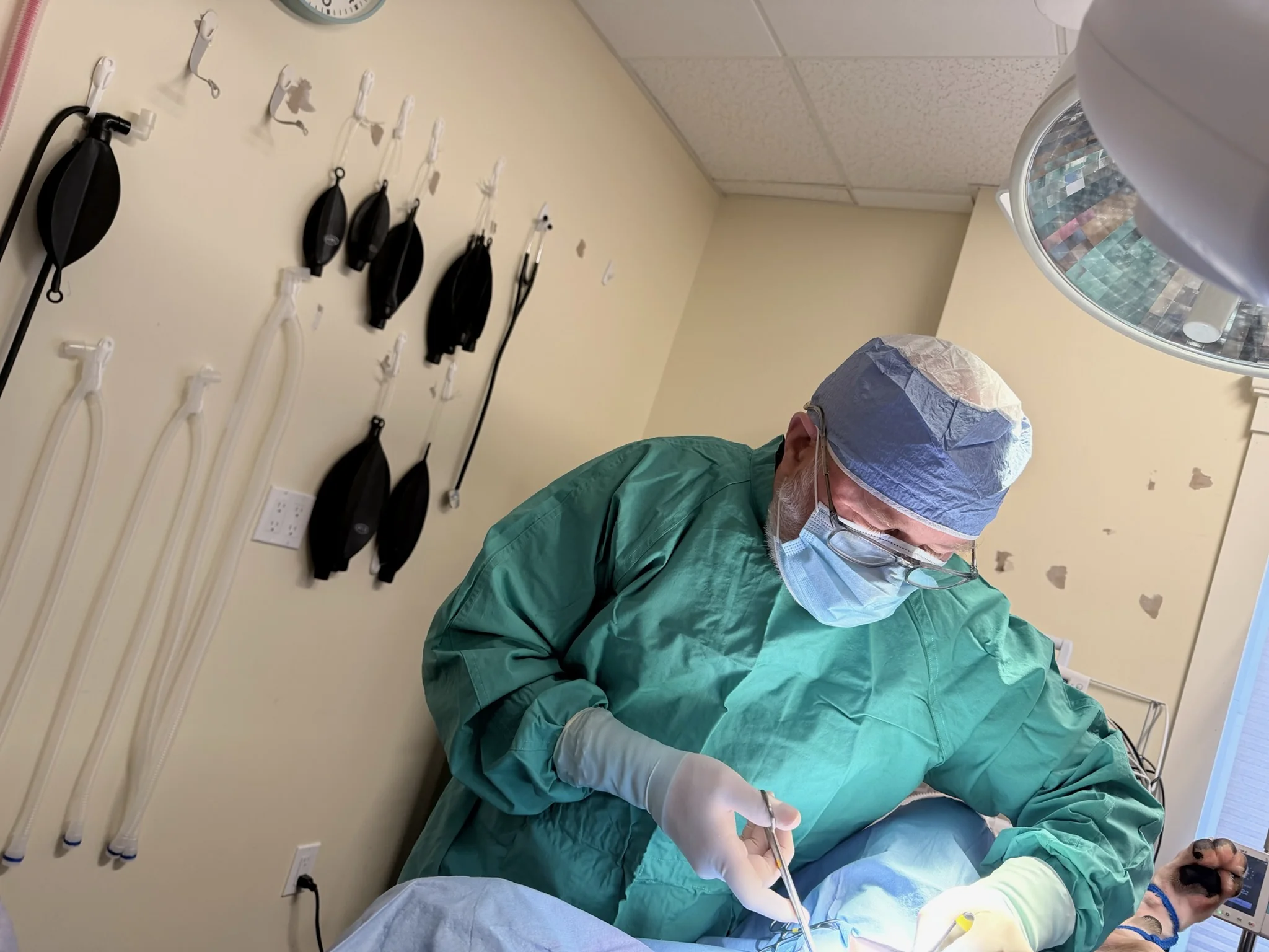 Dr. Templeton Performing Foreign Body Surgery