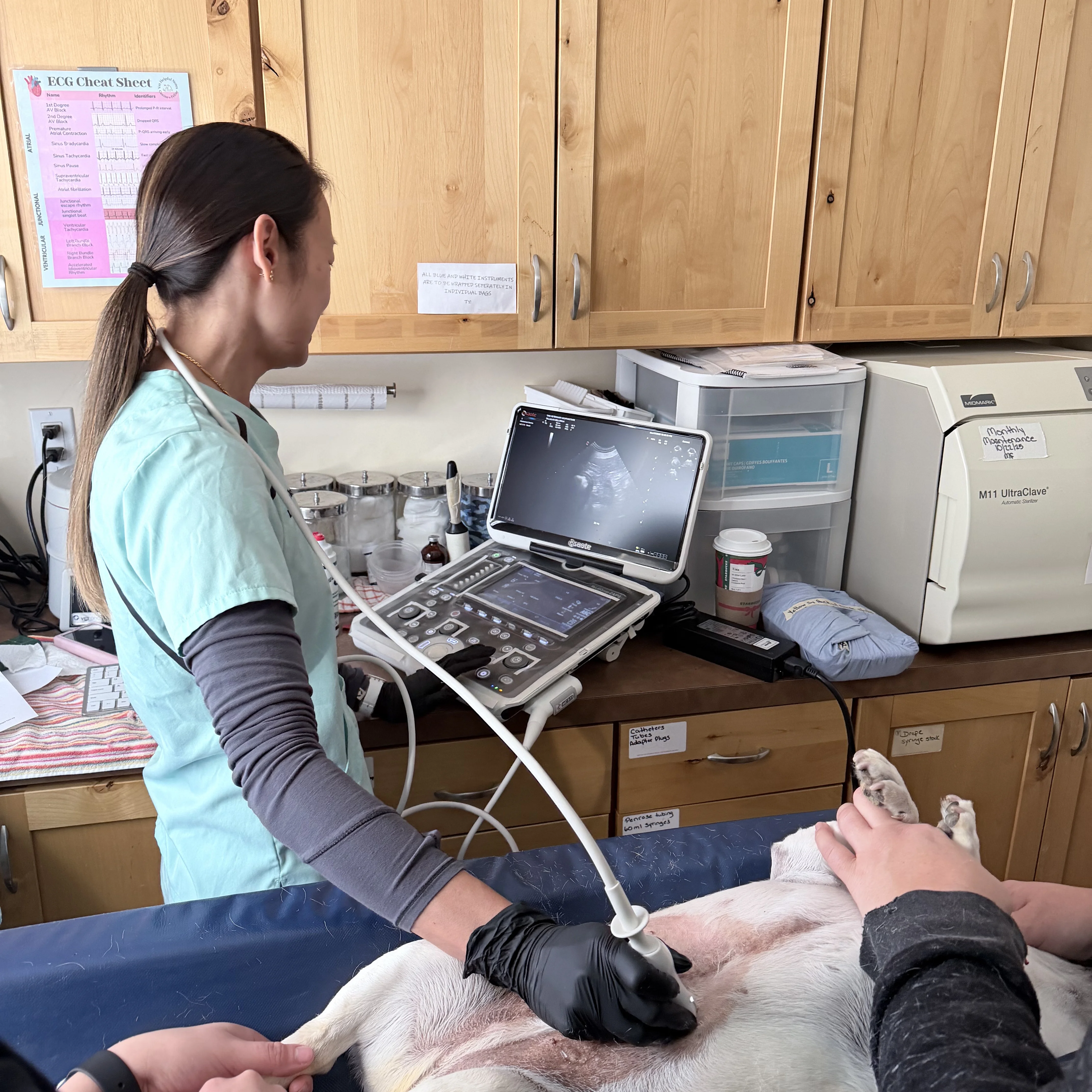 Dr. Ting Performing an Ultrasound