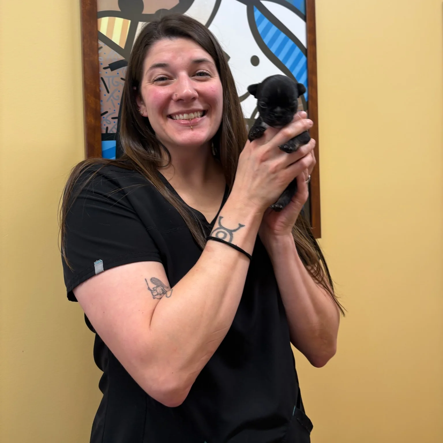 Asia Holding Small Puppy