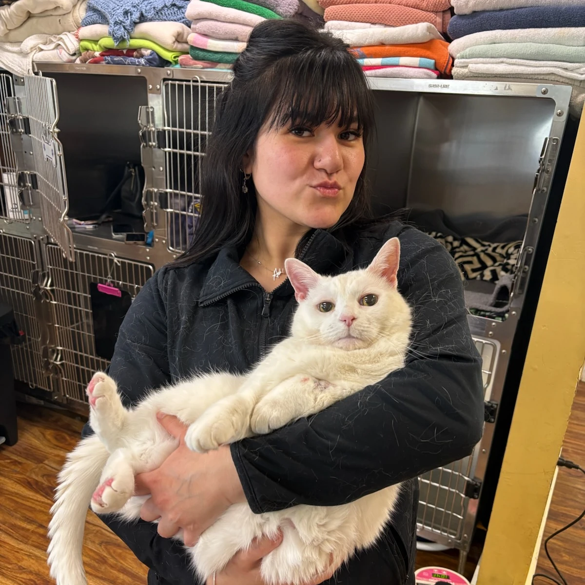 Ashley recovering Niko after dental