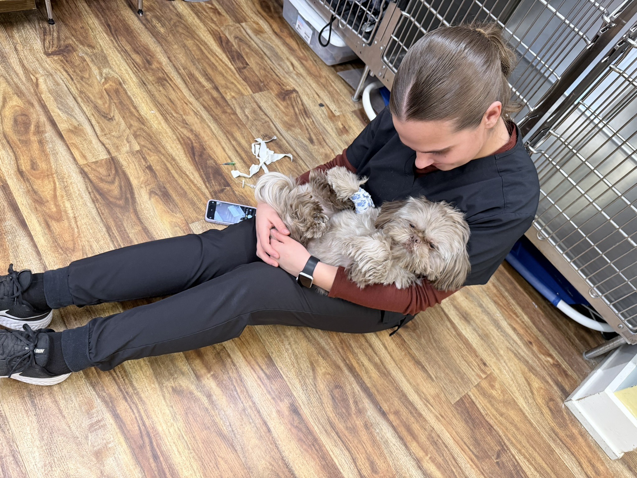 Nicolette waking dog up after surgery