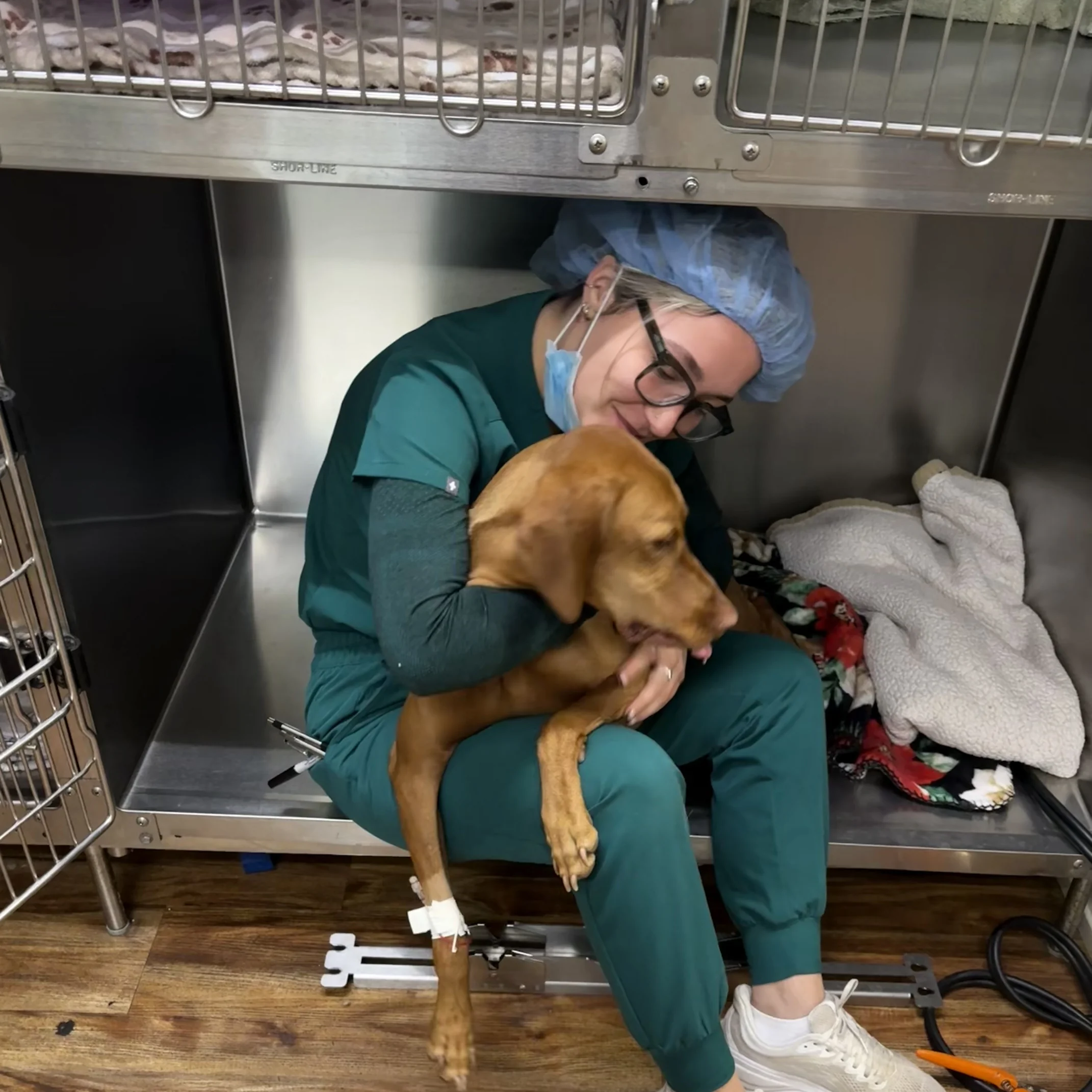 Jessie Recovering Patient Post-op 