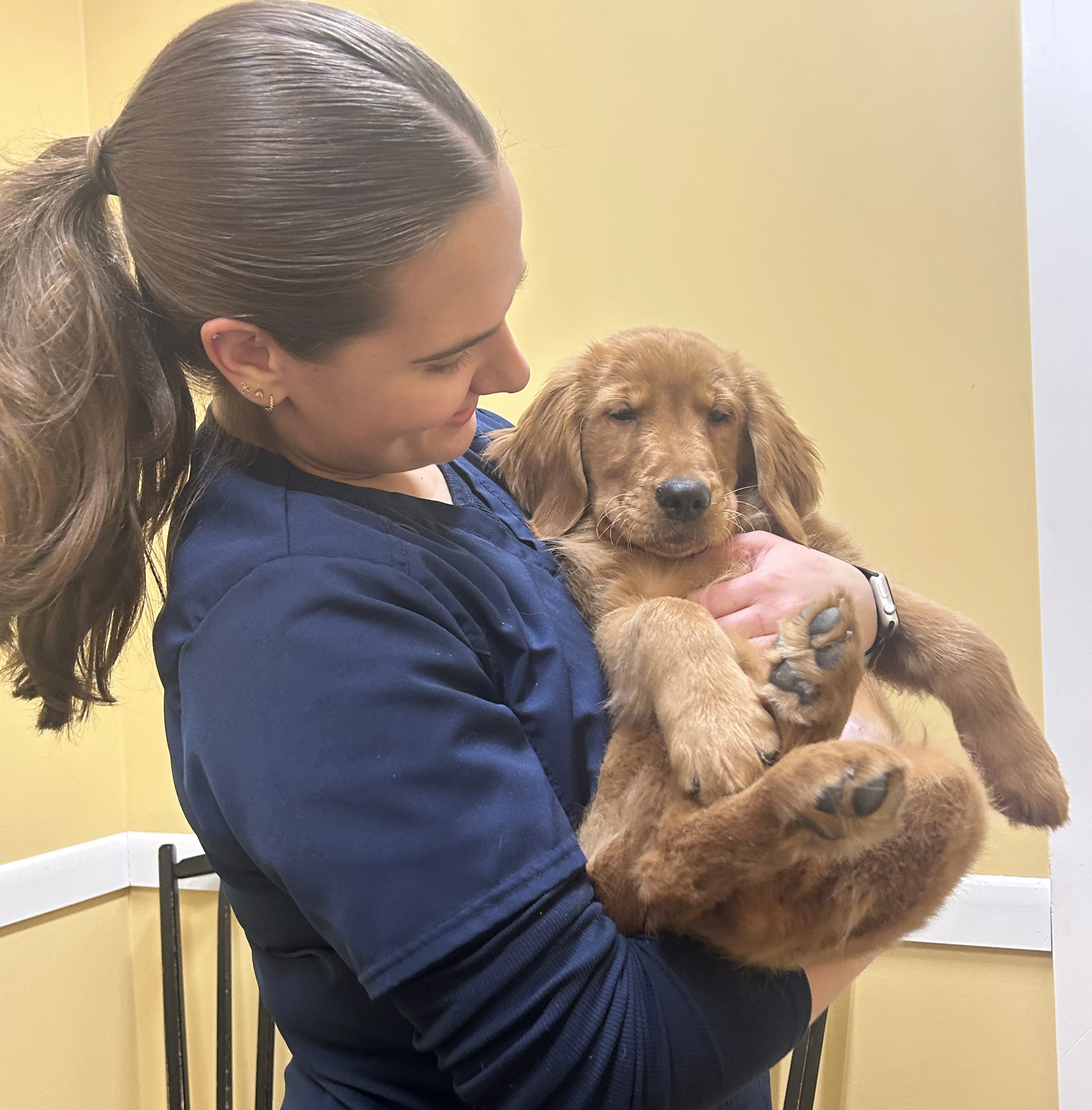 Nicolette holding golden retriever puppy Luke during his second puppy visit